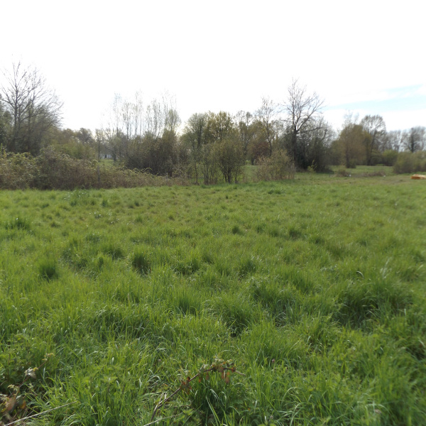 Offres de vente Terrain Ambarès-et-Lagrave 33440